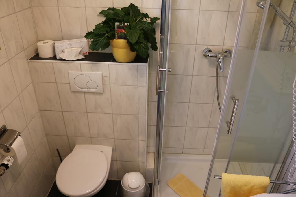 Hotel Brigitte Bad Krozingen Εξωτερικό φωτογραφία